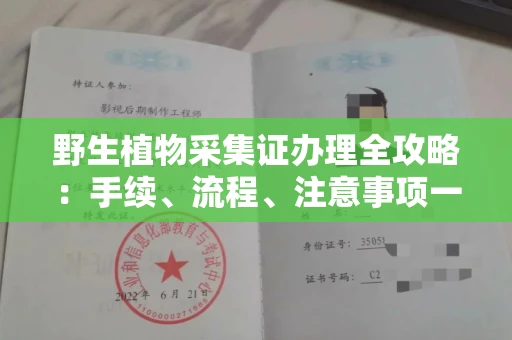 呼和浩特野生植物采集证办理全攻略:手续、流程、注意事项一网打尽